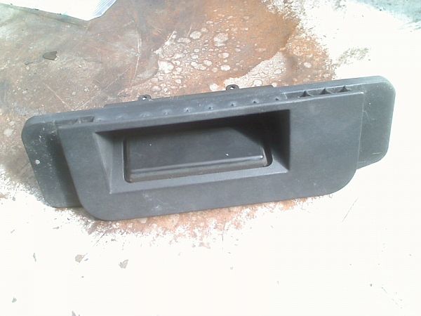 Tailgate exterior handle