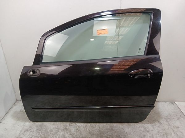 Tür FIAT PUNTO EVO (199_)