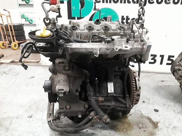 Motor RENAULT CLIO III (BR0/1, CR0/1)