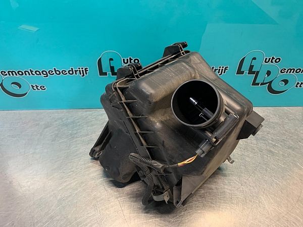 Mass air flow sensor (MAF)