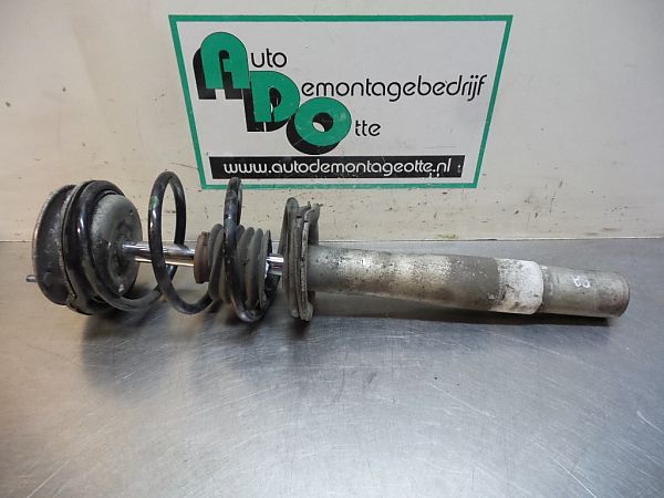 Front strut BMW 5 (E60)