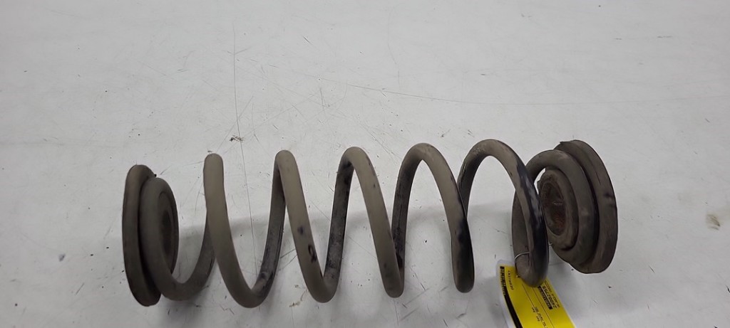Coil spring rubber mount