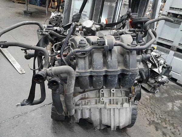 Motor VW GOLF PLUS V (5M1, 521)