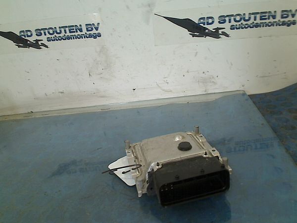 Motorsteuergerät (ECU) KIA PICANTO (TA)