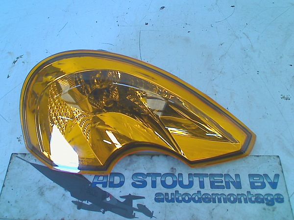 Seiten Blinker-Kotflügel RENAULT MODUS / GRAND MODUS (F/JP0_)