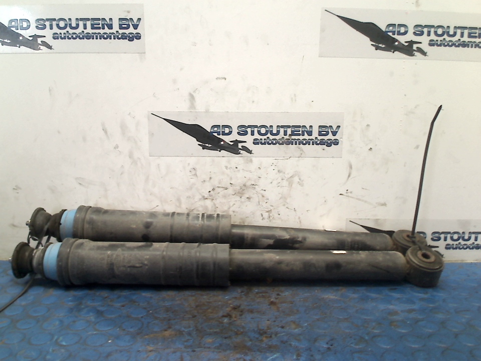 Stossdämpfer hinten RENAULT WIND (E4M_)