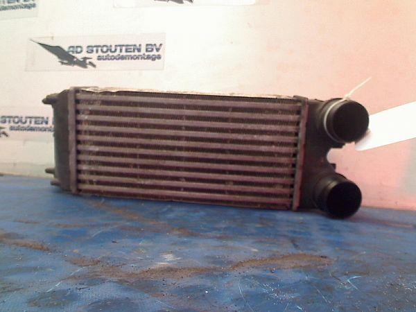 Ladeluftkühler FORD FIESTA VI (CB1, CCN)