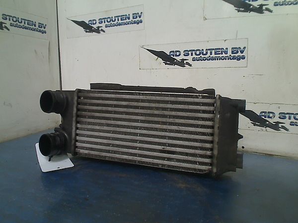 Ladeluftkühler FORD FIESTA VI (CB1, CCN)