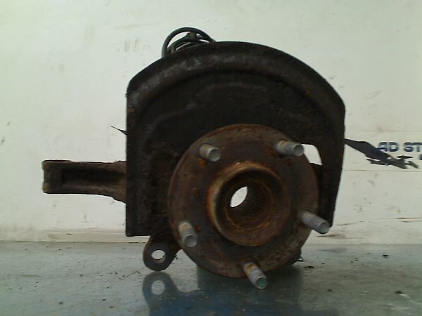 Spindel for NISSAN QASHQAI / QASHQAI +2 I (J10, NJ10, JJ10E)