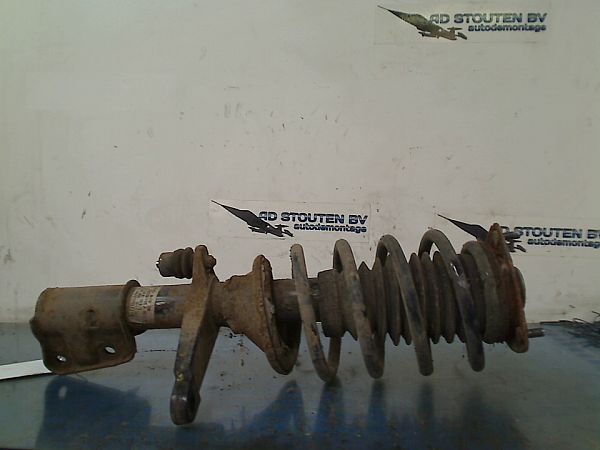 Federbein vorn LAND ROVER FREELANDER (L314)