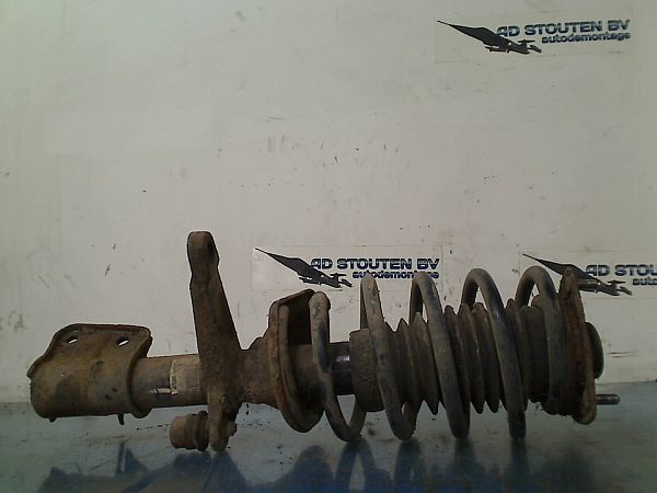 Federbein vorn LAND ROVER FREELANDER (L314)