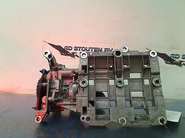 Ölpumpe BMW 5 Touring (F11)