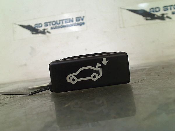 Tailgate/boot open switch button