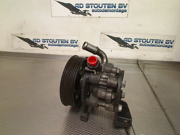 Servopumpe CHRYSLER 300 C (LX, LE)