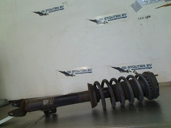 Federbein vorn CHRYSLER 300 C (LX, LE)