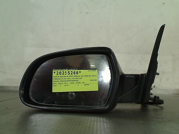 Door electric wing mirror