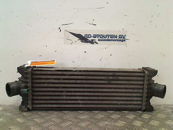 Ladeluftkühler FORD TOURNEO CUSTOM V362 Bus (F3)