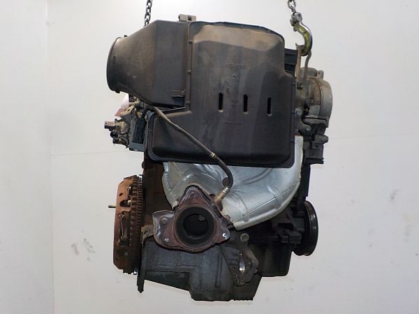 Motor RENAULT MEGANE II (BM0/1_, CM0/1_)