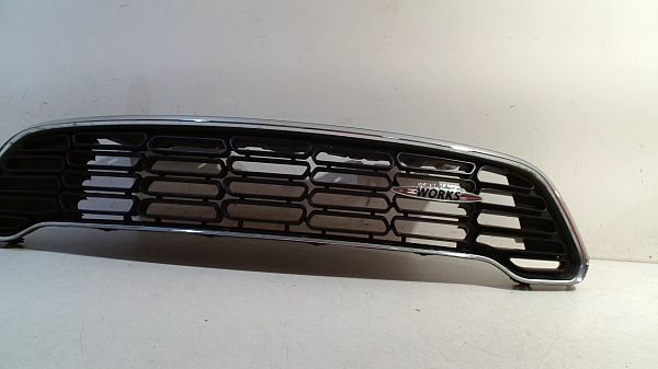 Kühlergrill MINI MINI PACEMAN (R61)