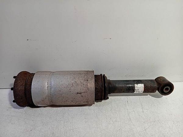 Federbein vorn LAND ROVER DISCOVERY III (L319)