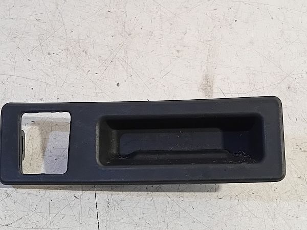 Tailgate exterior handle