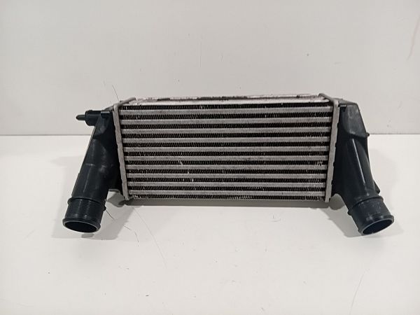 Ladeluftkühler FORD FIESTA VI (CB1, CCN)