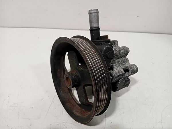 Servopumpe LAND ROVER RANGE ROVER SPORT I (L320)