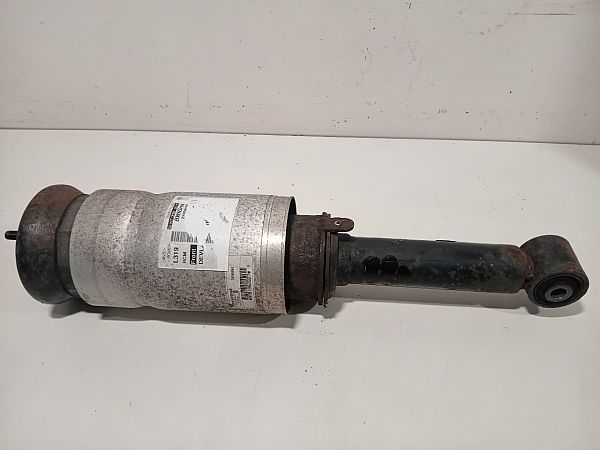 Federbein vorn LAND ROVER DISCOVERY IV (L319)