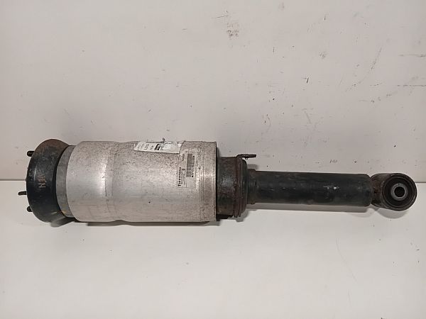 Federbein vorn LAND ROVER DISCOVERY IV (L319)