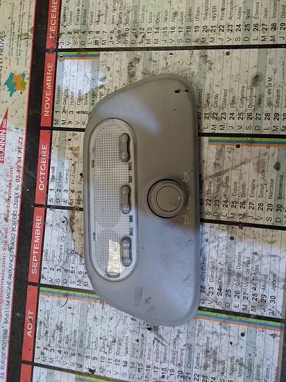 Tailgate RENAULT CLIO III (BR0/1, CR0/1)