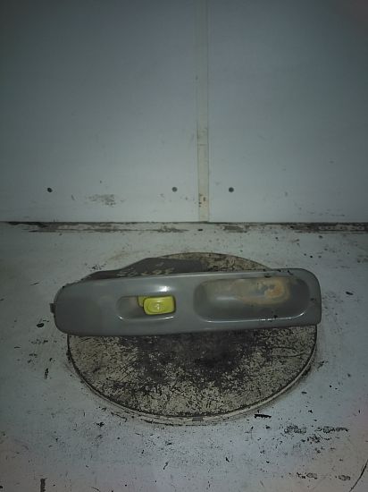 Tailgate RENAULT TWINGO I (C06_)
