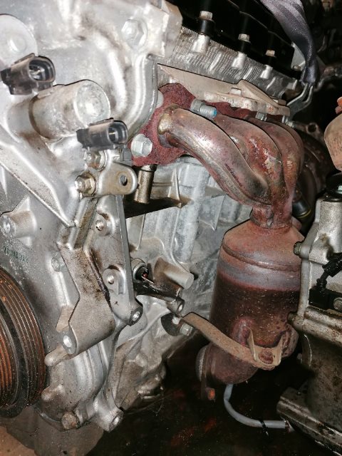 Motor