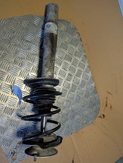 Front strut BMW 5 (E60)