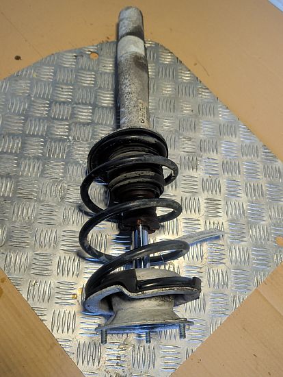 Front strut BMW 5 (E60)