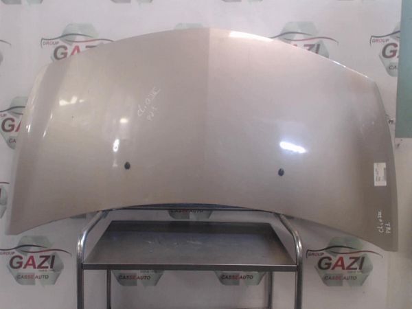 Stoffdach RENAULT CLIO III (BR0/1, CR0/1)