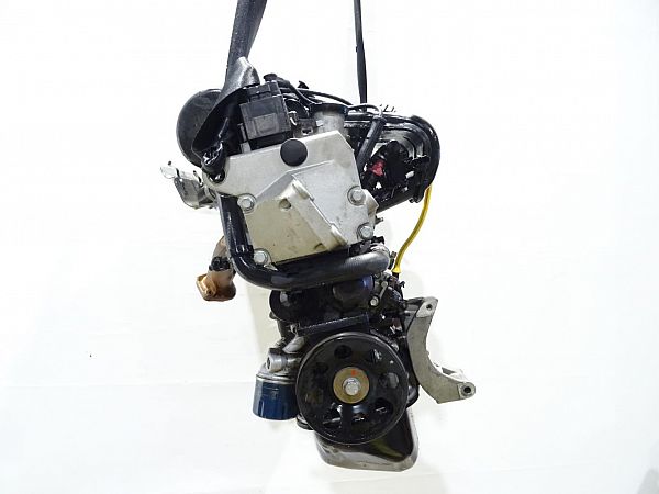Motor RENAULT TWINGO I (C06_)