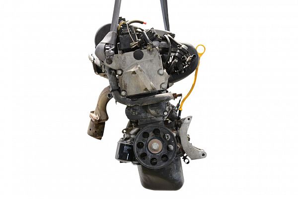 Motor RENAULT TWINGO I (C06_)