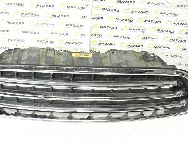 Kühlergrill MINI MINI COUNTRYMAN (R60)