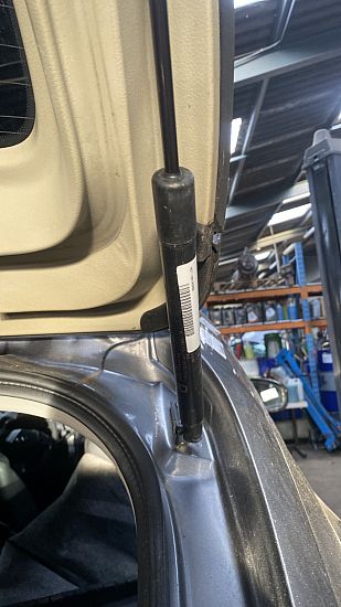 Dämpfer Heckklappe INFINITI EX