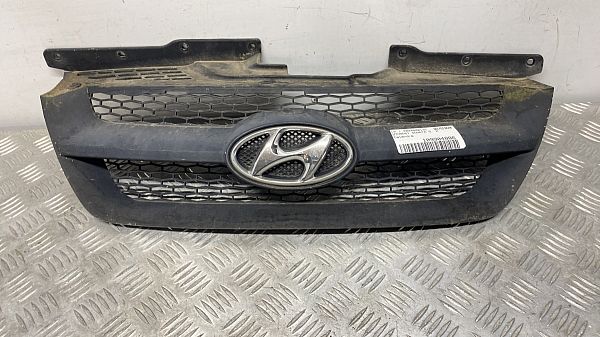 Kühlergrill HYUNDAI SONATA V (NF)