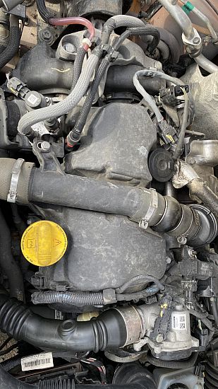 Motor DACIA SANDERO II (B8_)