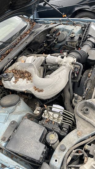 Servopumpe JAGUAR S-TYPE (X200)