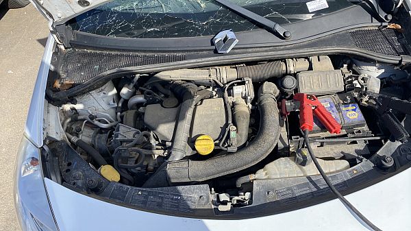 Motor RENAULT CLIO III (BR0/1, CR0/1)
