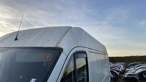 Hardtop FIAT DUCATO Van (250_)