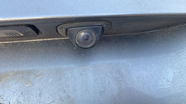 Rückfahrkamera BMW X5 (E70)