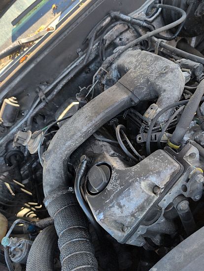 Motor SSANGYONG MUSSO (QK)