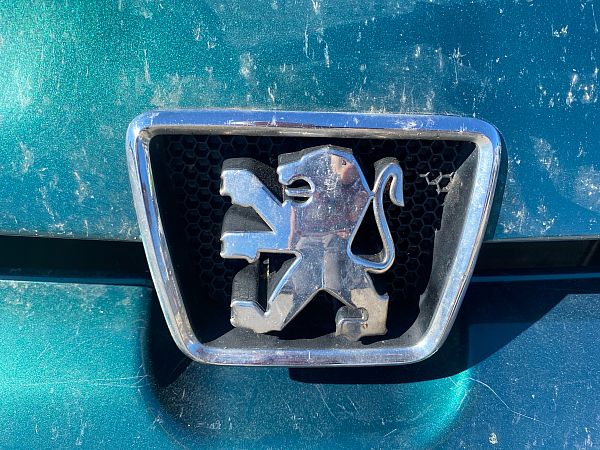 Grill PEUGEOT 106 II (1A_, 1C_)