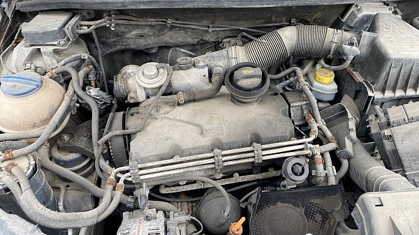 Motor SKODA FABIA II (542)