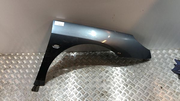 Kotflügel vorne rechts PEUGEOT 407 (6D_)