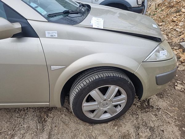 Kotflügel vorne rechts RENAULT MEGANE II Coupé-Cabriolet (EM0/1_)